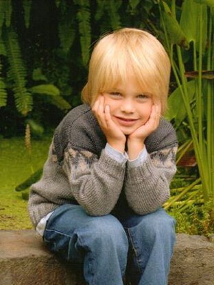 Family Favourites Book by Patons - 3827