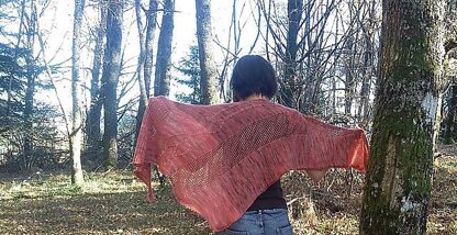 Athena shawl