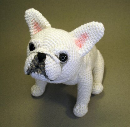 French Bulldog