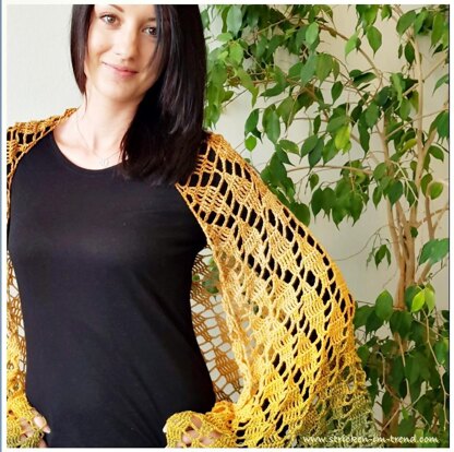 Crochet Triangle Shawl BioTronik #2