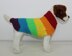 Chunky Spectrum Dog Coat