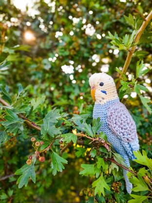 Pearl the Budgie