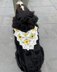 Sunflower Bandana