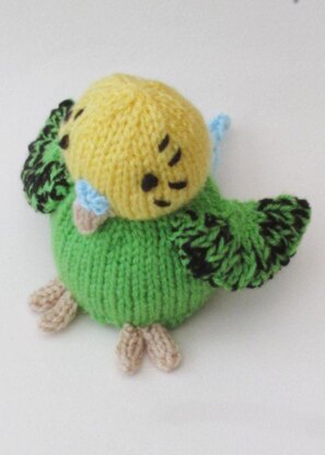 Budgie Chocolate Orange Cosy