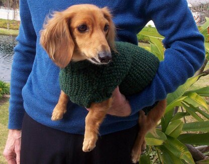 Mini dachshund jumper clearance pattern