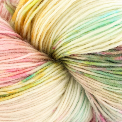 Dream in Color Jilly Yarn at WEBS