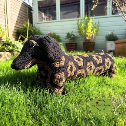 Desmond the African Flower Dachshund Dog