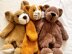 Love A Bear, Puppy and Kitty