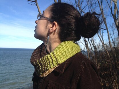 Transitions Infinity Scarf