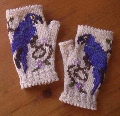 Blue Macaw in the Flowers fingerless mitts