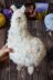 Alpaca with embroidery toy
