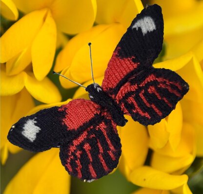 A Rabble of Butterflies