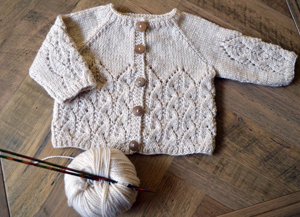 Wynter Rose Cardigan - P169 at WEBS | Yarn.com