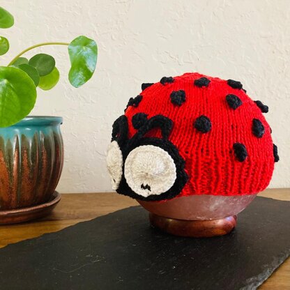 Ladybug Baby Hat