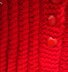 Winter Berries DK Knitting Pattern