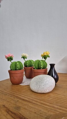 Cactus plant with flower