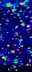 Through the Galaxy Wrap