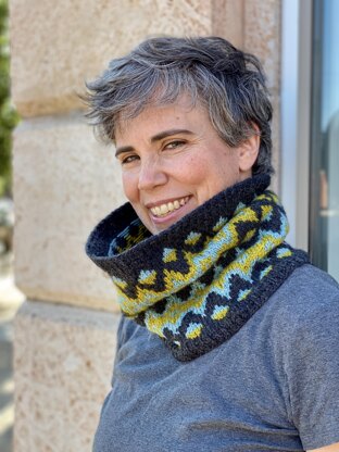 Hidden Falls 3-Color Cowl