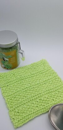 Stony Point Dishcloth