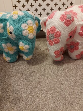 African Elephant #5