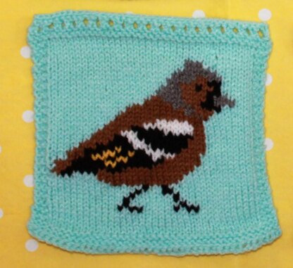 Garden Birds Intarsia Squares