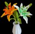 Lily flowers