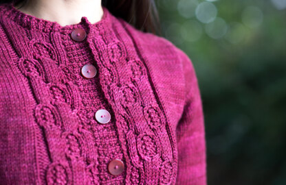 Nest Cardigan in SweetGeorgia Trinity Worsted - Downloadable PDF