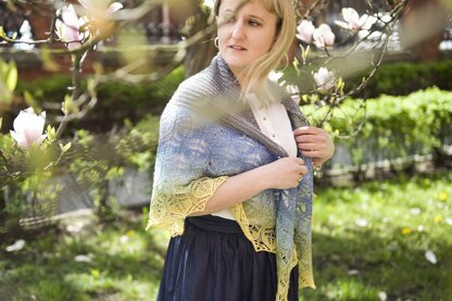 Brie Shawl
