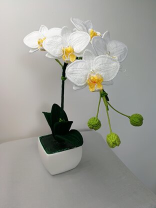 Moth Orchid Crochet Pattern