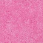 Carnation (1867/E6)