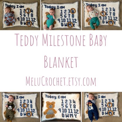 Teddy Milestone Blanket