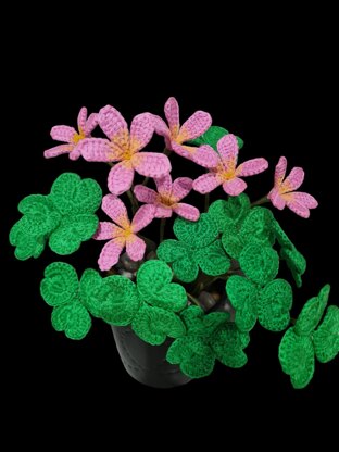 Crochet Oxalis flowers