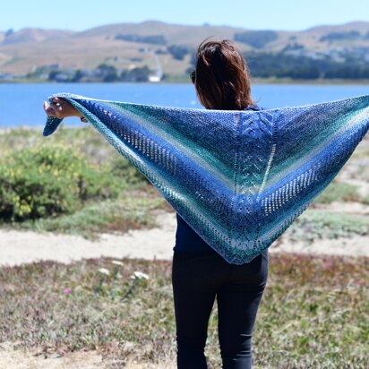 My First Knit Shawl