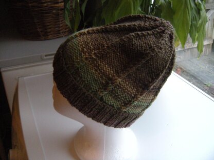 Twisted Stitch  Beany