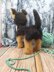 Amigurumi German Shepherd Dog Alsatian