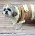 Dog Coat Crochet Pattern #179
