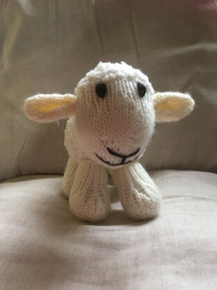 Cream Lamb