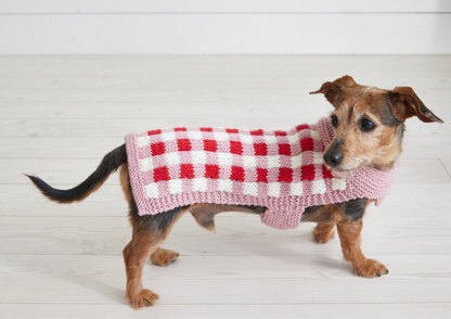 Picnic Pooch Dog Coat Knitting Pattern For Pets in Debbie Bliss Rialto Aran by Debbie Bliss LoveCrafts