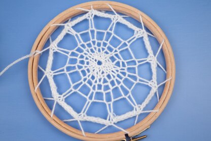 Deramores Spider and Web PDF