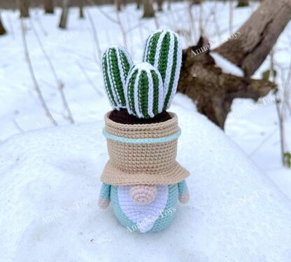 Gnome-cactus in a pot 3