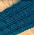 Cool Runnings Headband