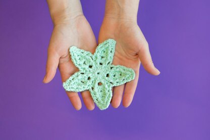 Star Rays motifs