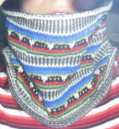 Molly the train cowl