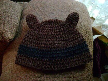 Racoon Beanie