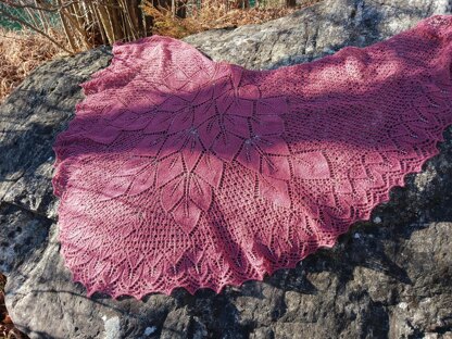 French Maple Shawl