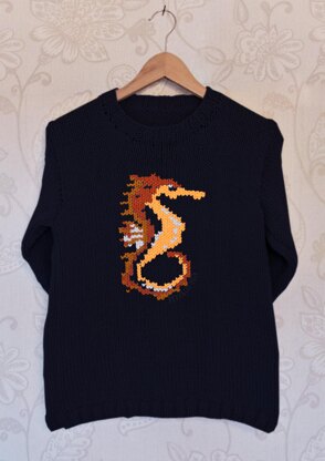 Intarsia - Seahorse Chart  - Adults Sweater
