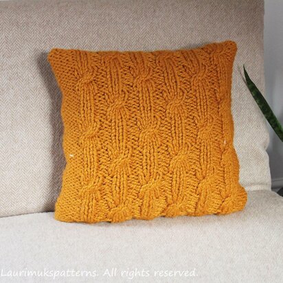 Butterscotch pillow cover