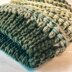 Colorado Spruce Beanie