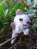 Spooky the Kitty-Ghost