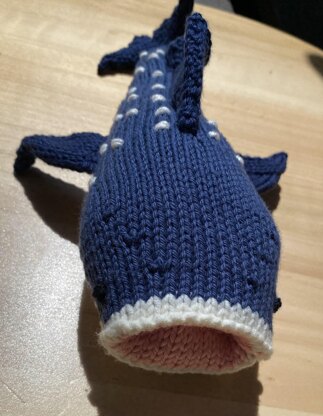 Winnie the whale shark